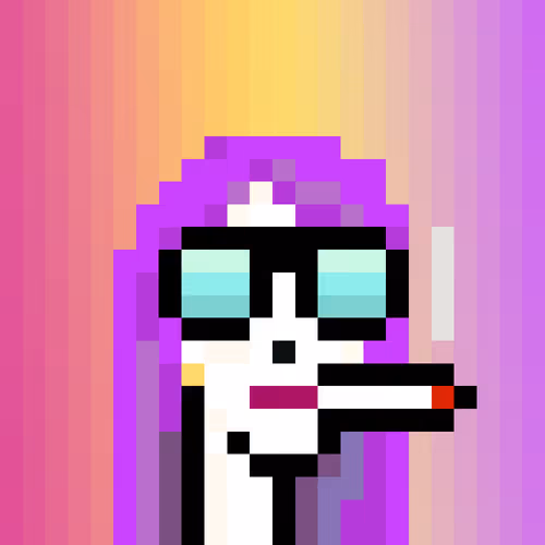 PALADIN PUNKS V1
