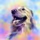 Digital Dessann for Dog