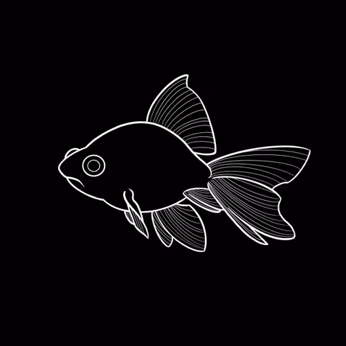 Slippery Fish Co Genesis