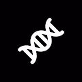DNA Blocks