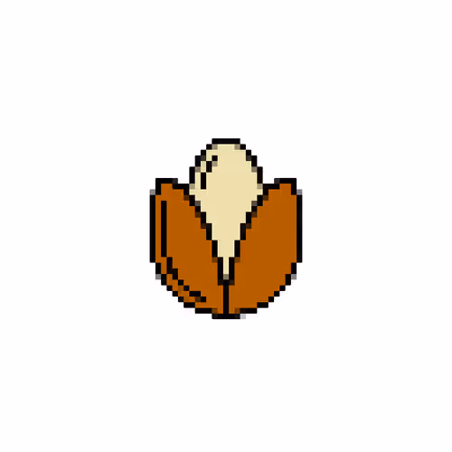 A Seed Grows
