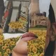 1mouth analog by miirror