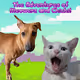 The Adventures of Meowerz and Chichi!!!