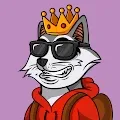 Trash Panda Society NFT