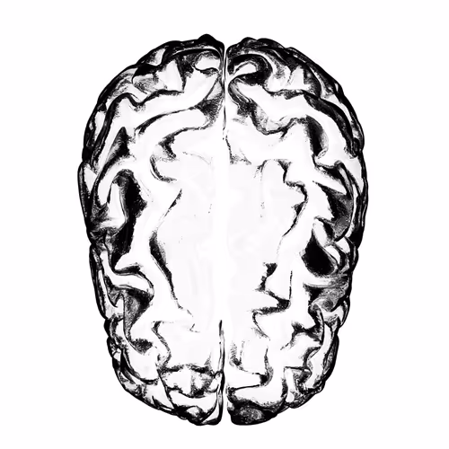 MINDHOLE