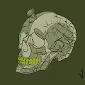 Wicked Craniums X Haylos Collab