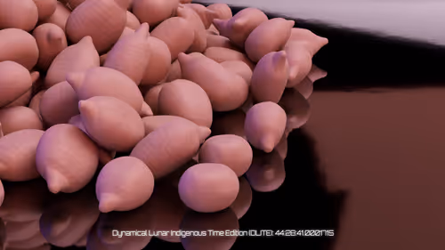 Seed Protocol - Dynamical Lunar Indigenous Time (DLITE) 43:28:22.0004124 by Amelia Winger-Bearskin