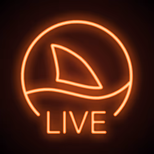 LIVE at Fin's