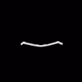 arcaneOpus