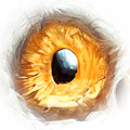 AINightbirds