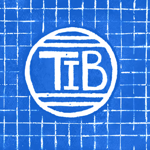 TIB's Robots
