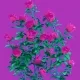 made these for your girl by Alpha Centauri Kid