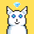 doge on the moon official