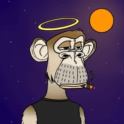 项目媒体占位符