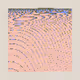 Hello Modulo by Nat Sarkissian