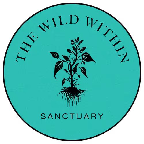 Sanctuary - Attendance Token