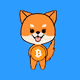 Shiba Holds Crypto