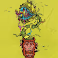 Funky Fly Traps Official