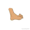 FeetnotFeetDAO