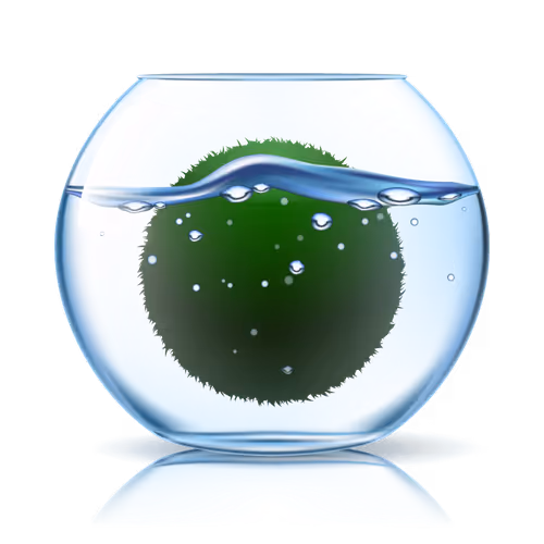 marimo.life