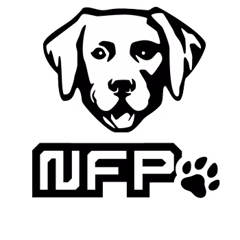 NFPets by Daz 3D