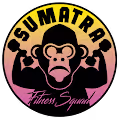 sfs