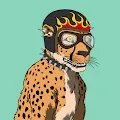 Wild Animal Universe (WAU NFT)