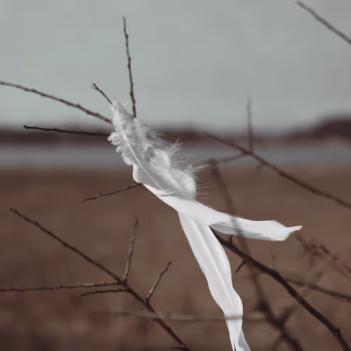 Maria Fynsk Norup Editions