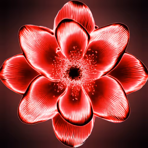 Flower's by mxzn