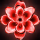 Flower's by mxzn