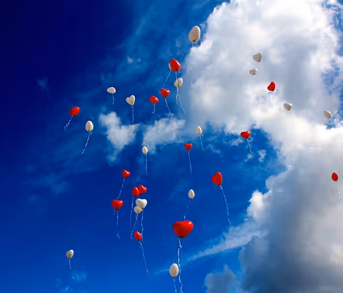 アイテム メディア プレースホルダー