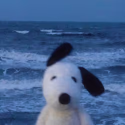 アイテム メディア プレースホルダー