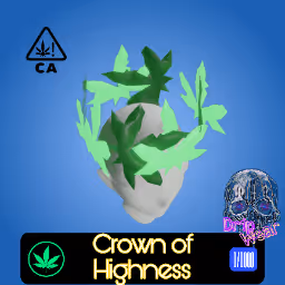 Highness Crown