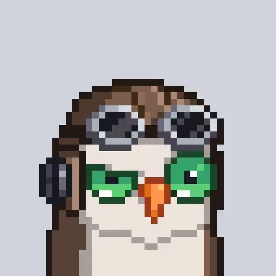 FlappyMoonbird OAT
