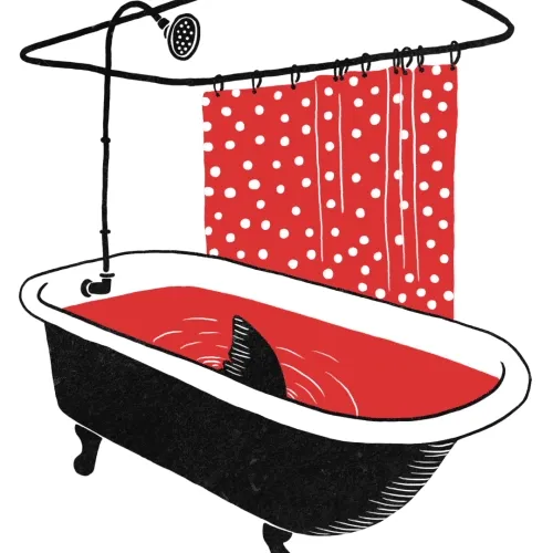 Item #56787087360155483967447526621654293526681839490012288898340565695890328649738 Media