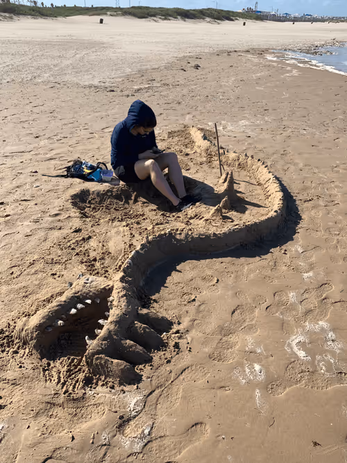 Item #82178559620026326219165803293821437144978059233678239568219416590111744196609 Media