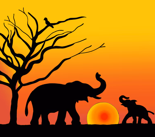 Item #91807356878147463128994784769895160544908275210083171981758027842589349117953 Media