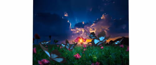 Item #41423174657448755454775180770704774351895892577704630438802697544574414356481 Media