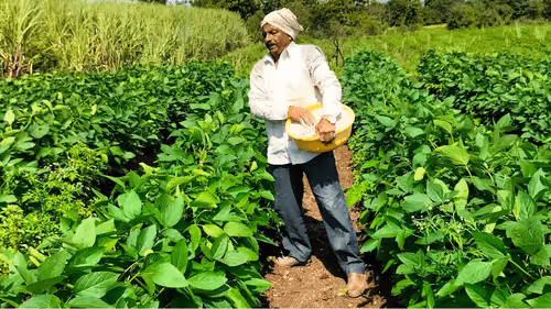 Item #39916610678052500138596211548792698776473563312308341193271399276422218383361 Media