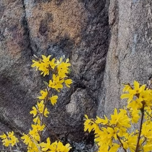 Item #91704198700960522098260527028894955103523024793273774522865924481845039202307 Media