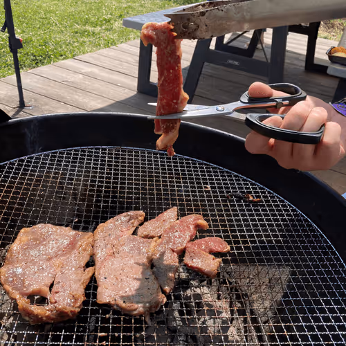 meat - tfyB6hzpdu