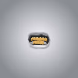 GRILLZ N GOLD
