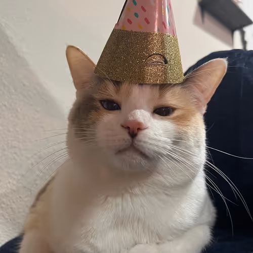 Marcador de posición de elemento multimedia