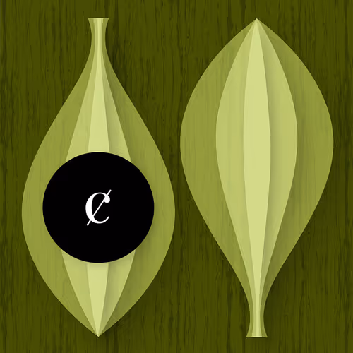 MidCENTury-Centric