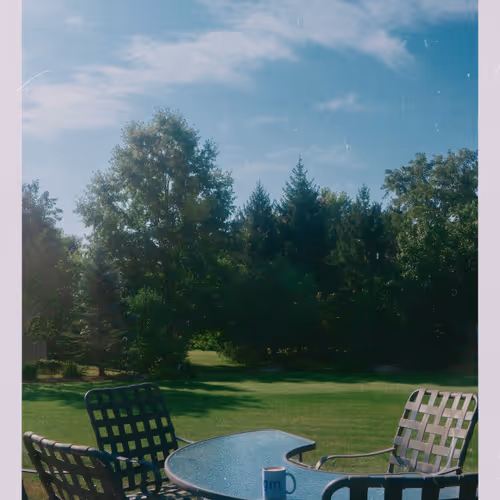 ryanfox.lens-Collect-2295