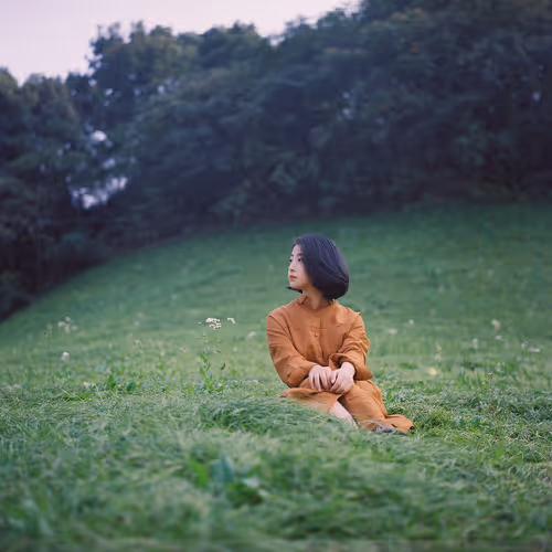 29339.lens-Collect-2