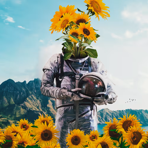 Sunflower Astronaut