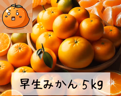 Item #11 Media