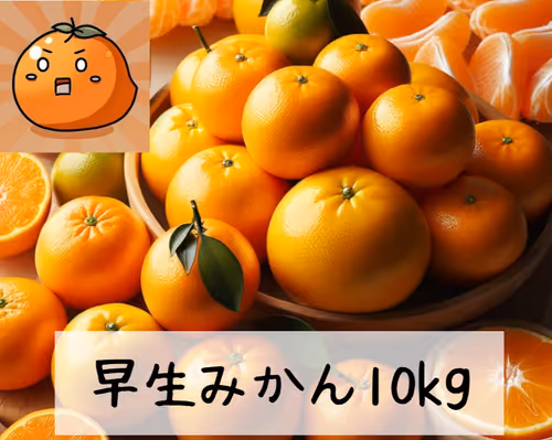 Item #14 Media