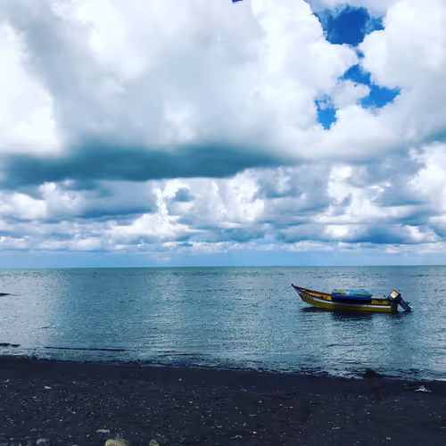 azadeh.lens-Collect-17